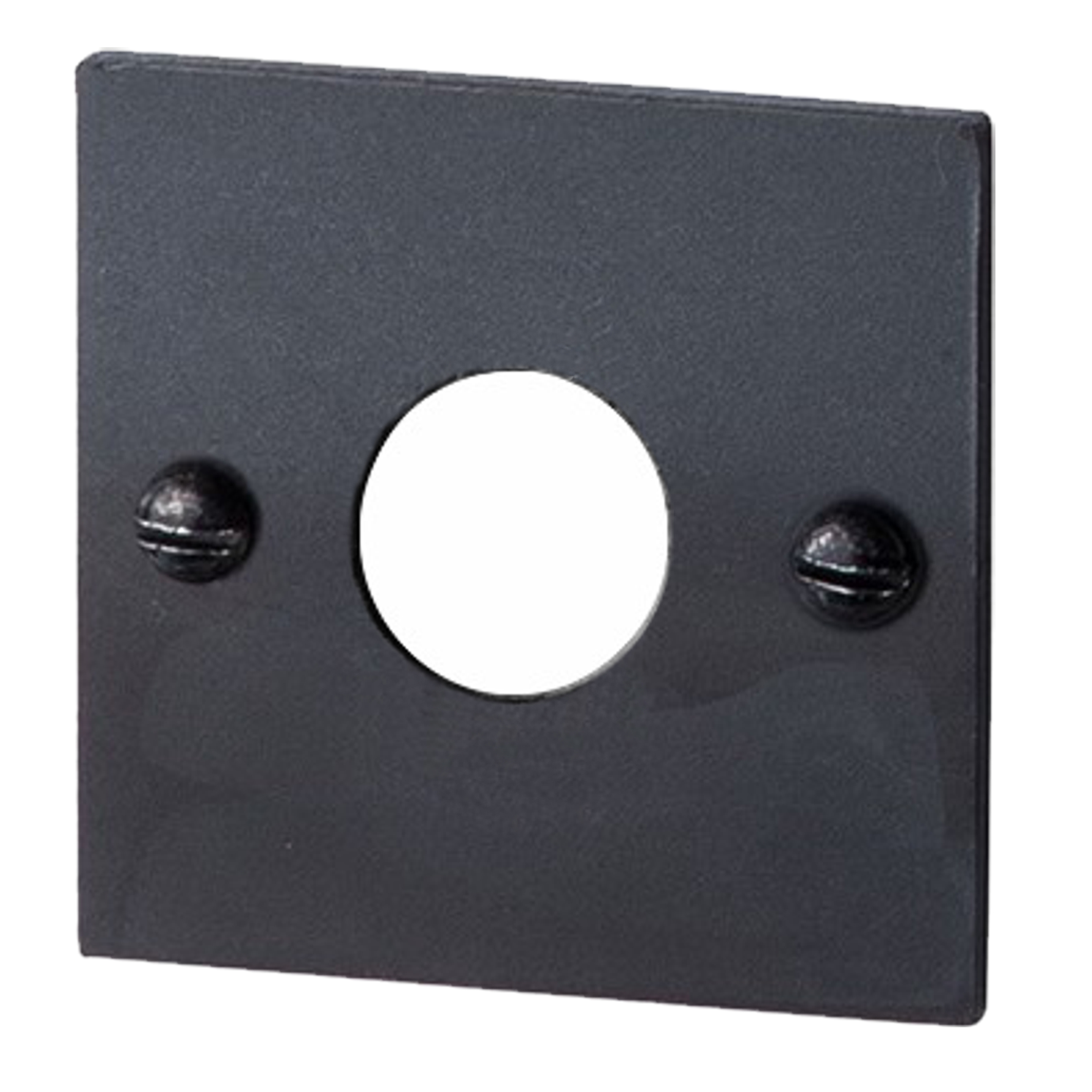 Bauhaus - Stil - Türdrückerrosette Eisen Schwarz gebrannt & gewachst 52x52mm Serie TR505 Bild1