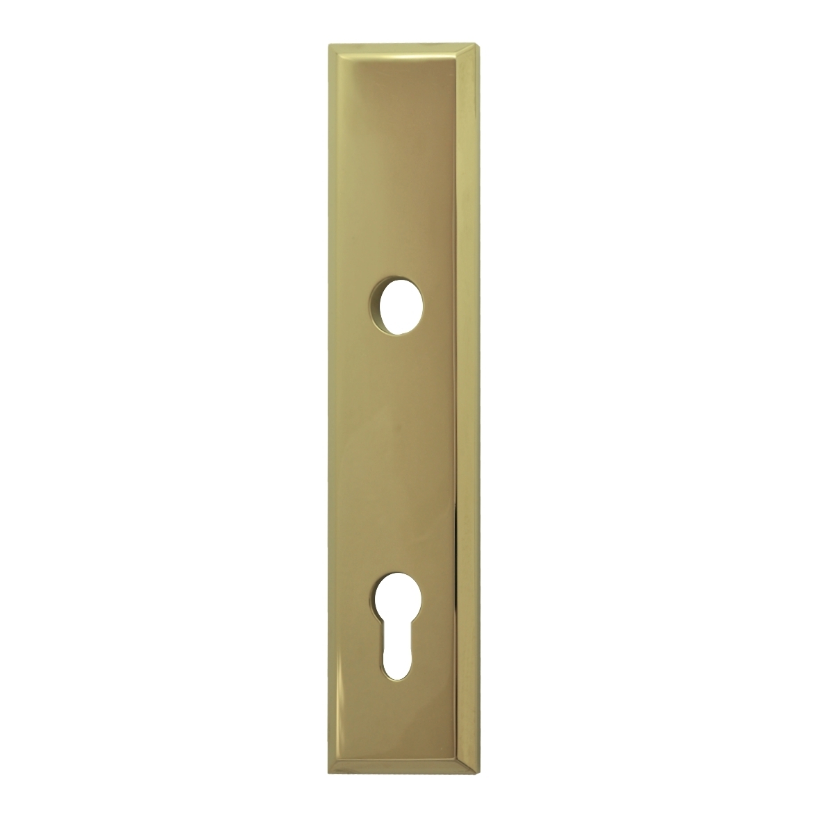BAUHAUS Sicherheitstürschild Bild1