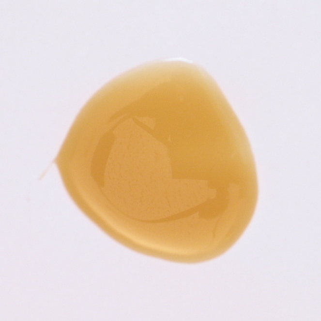 Fischleim flüssig 1 kg Serie LE004 Bild1